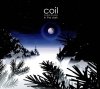 coil-Musick-to-Play-in-the-Dark-Vol.-1.jpg