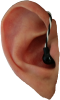 EAR.png