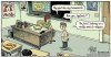 IMG_8748.jpeg