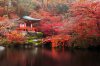 Japan_Autumn_Parks_505819.jpg