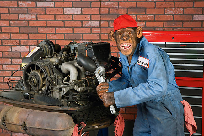 Monkey Mechanic.jpg