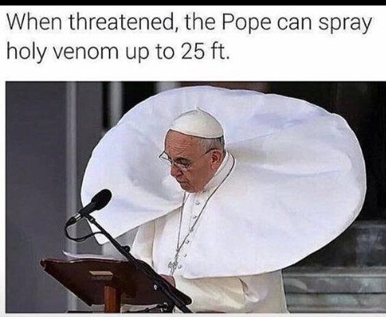 pope cape.jpg