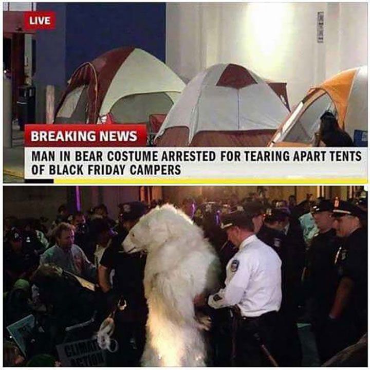 tents and bear.jpg